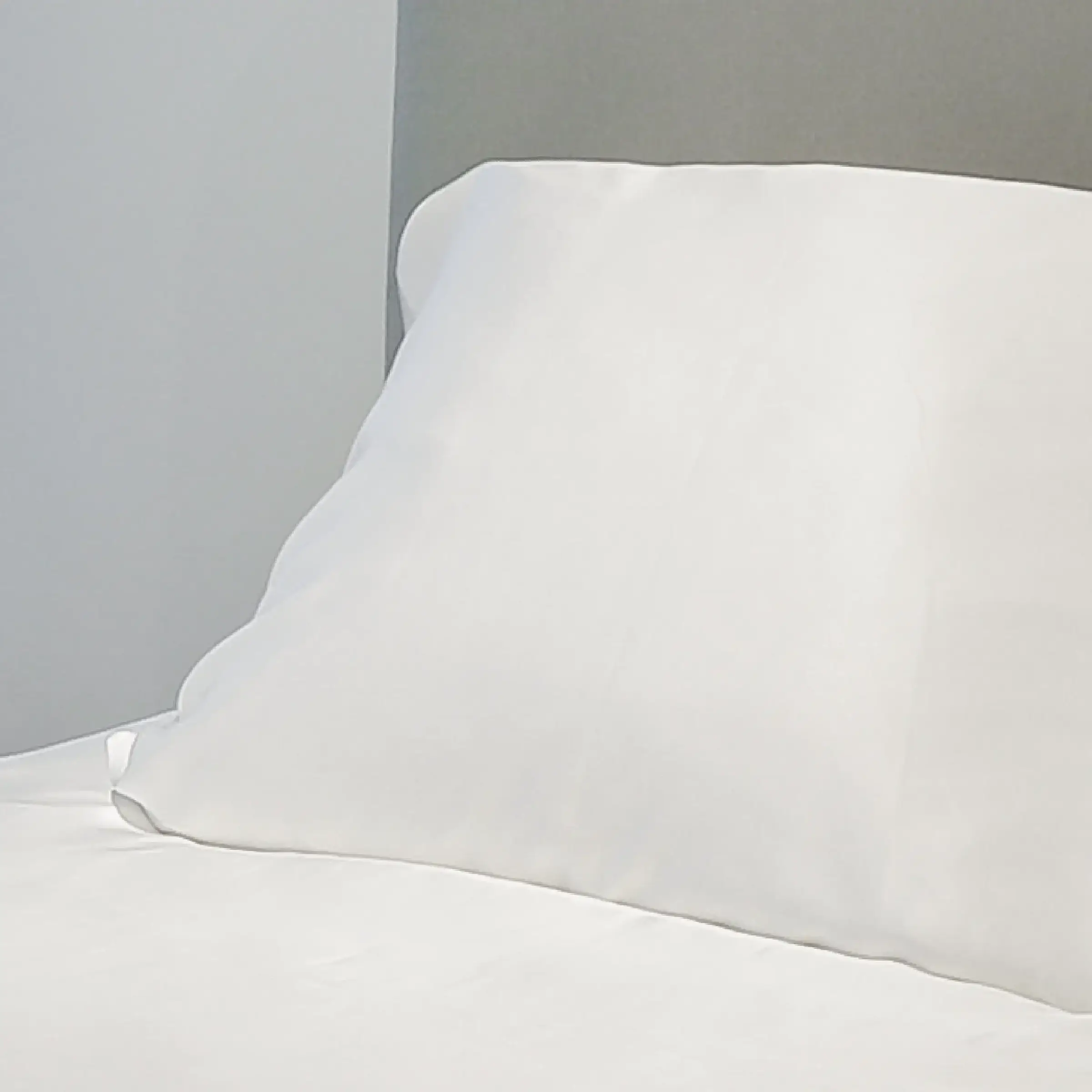 Emperior Silk Zijde Kussensloop Naturel