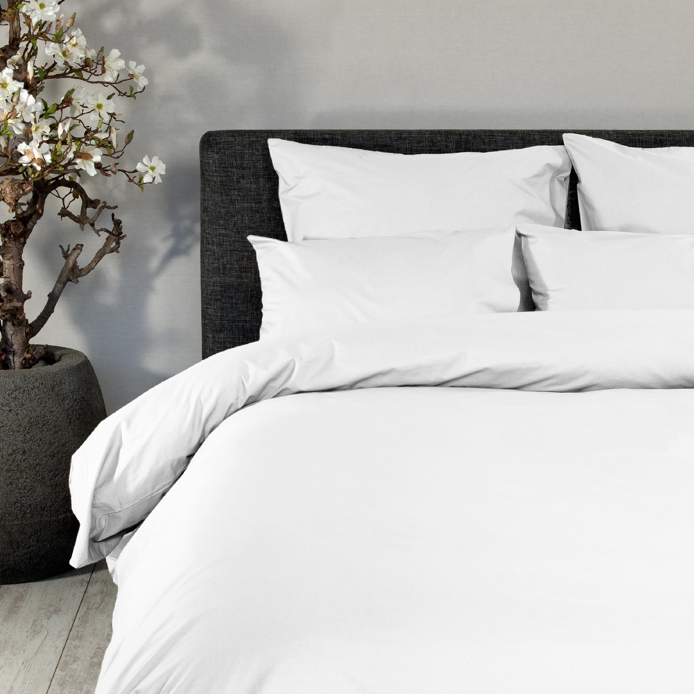 Essix Laken Premiere Meringue 240x300 Essix Laken Premiere Meringue 240x300