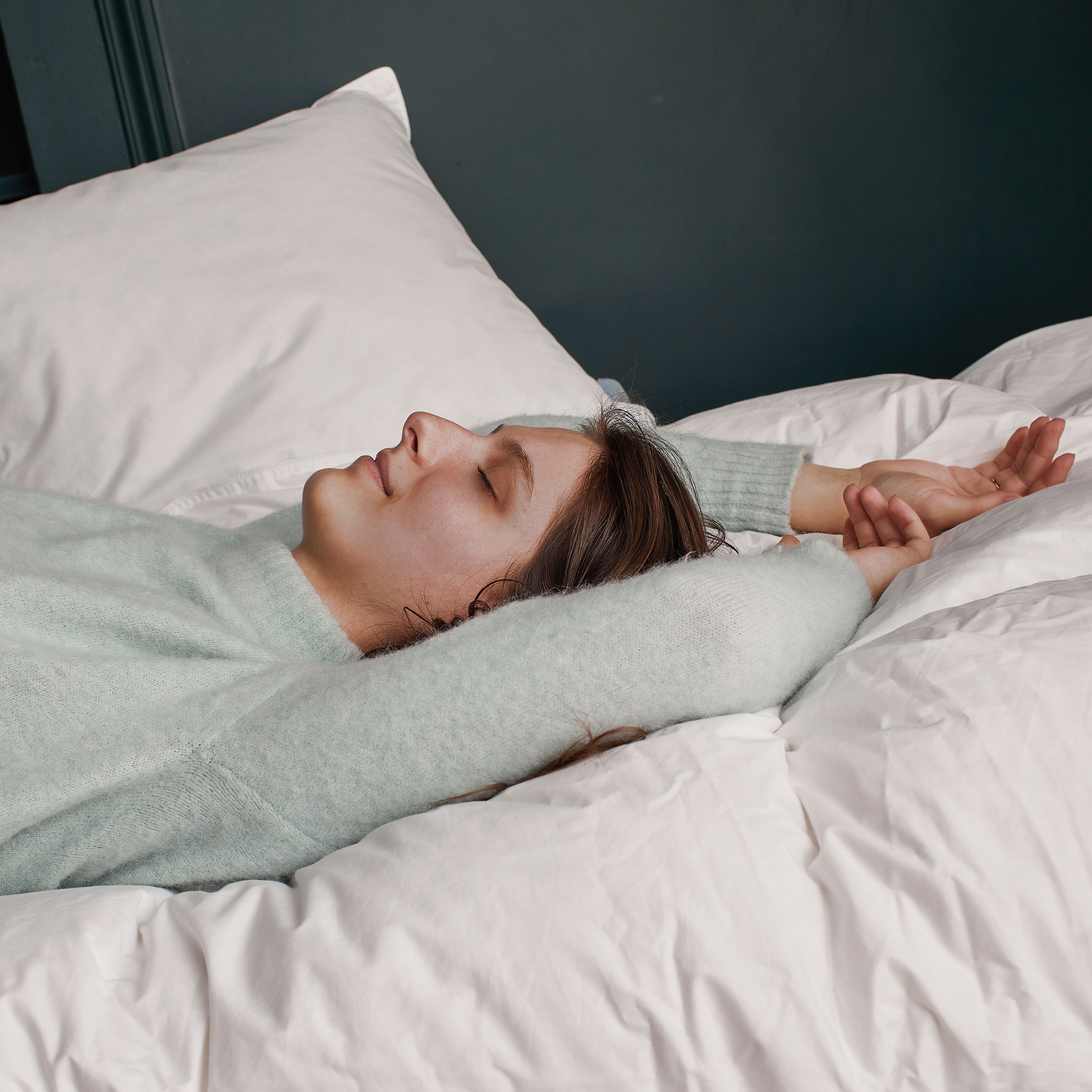 Essix Dekbed Prestige Dons 250 gr/m2