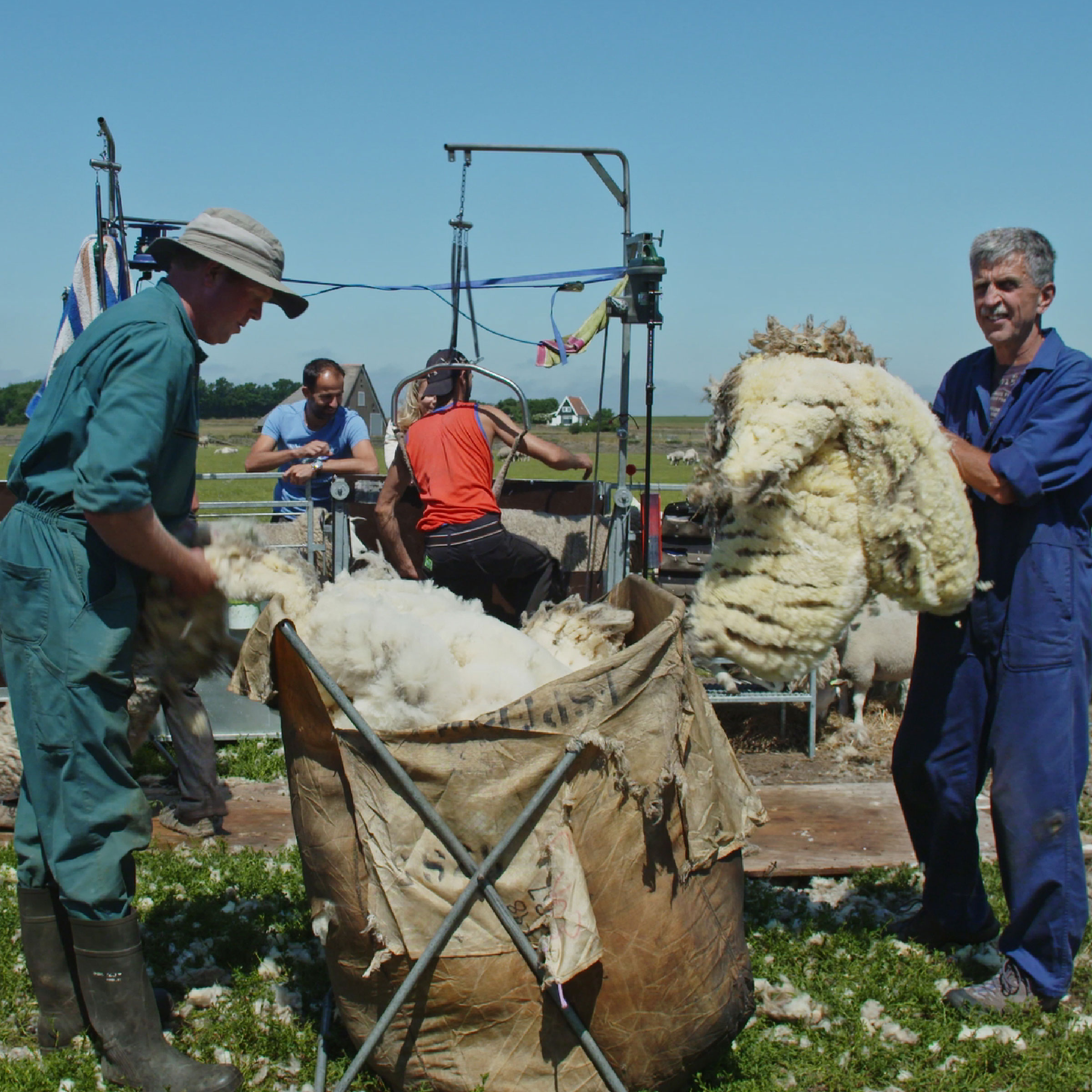 Texeler Dekbed Wonder Wool Care Scheerwol 4 Seizoenen 