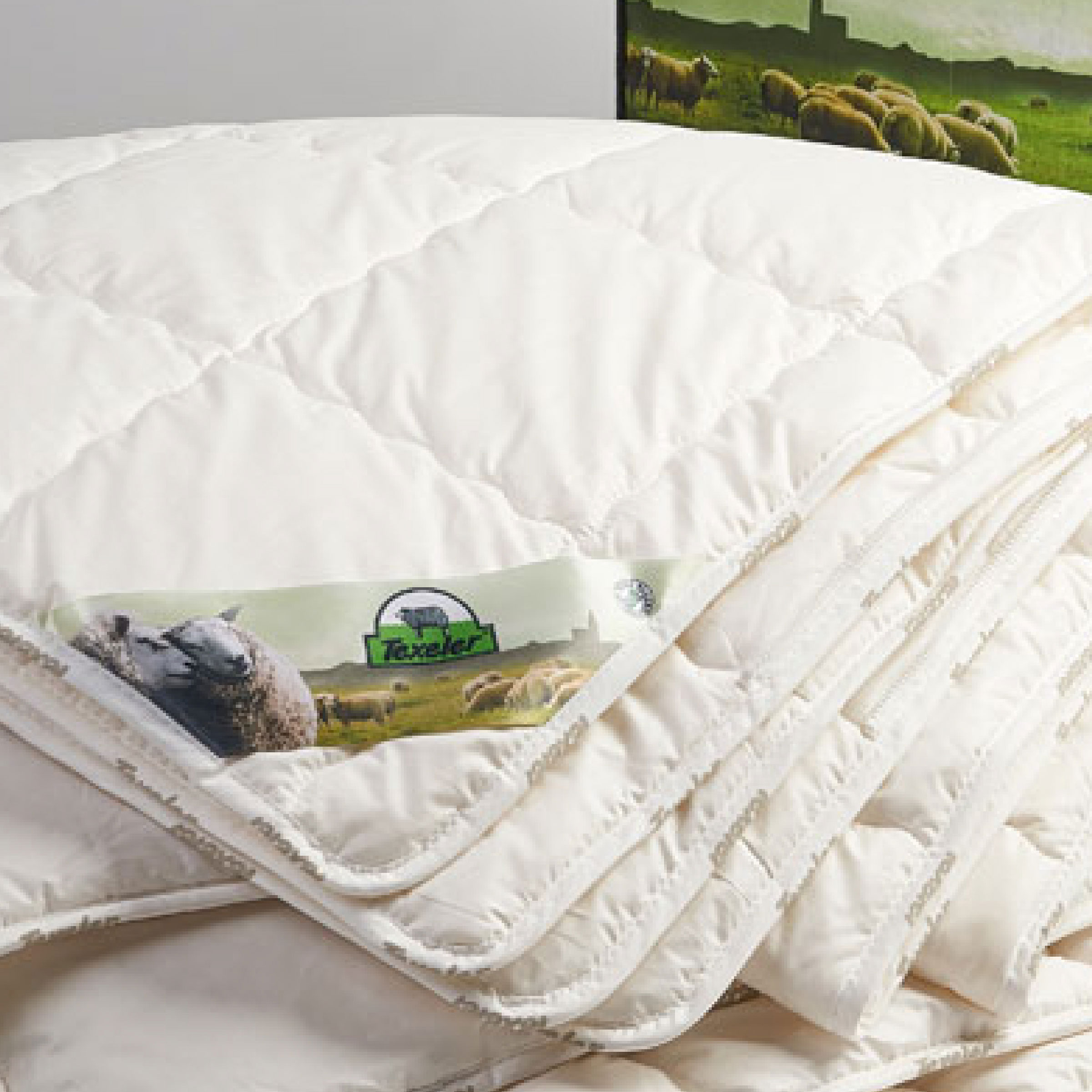 Texeler Dekbed Slaap Zacht Special Lamswol 4 Seizoenen 
