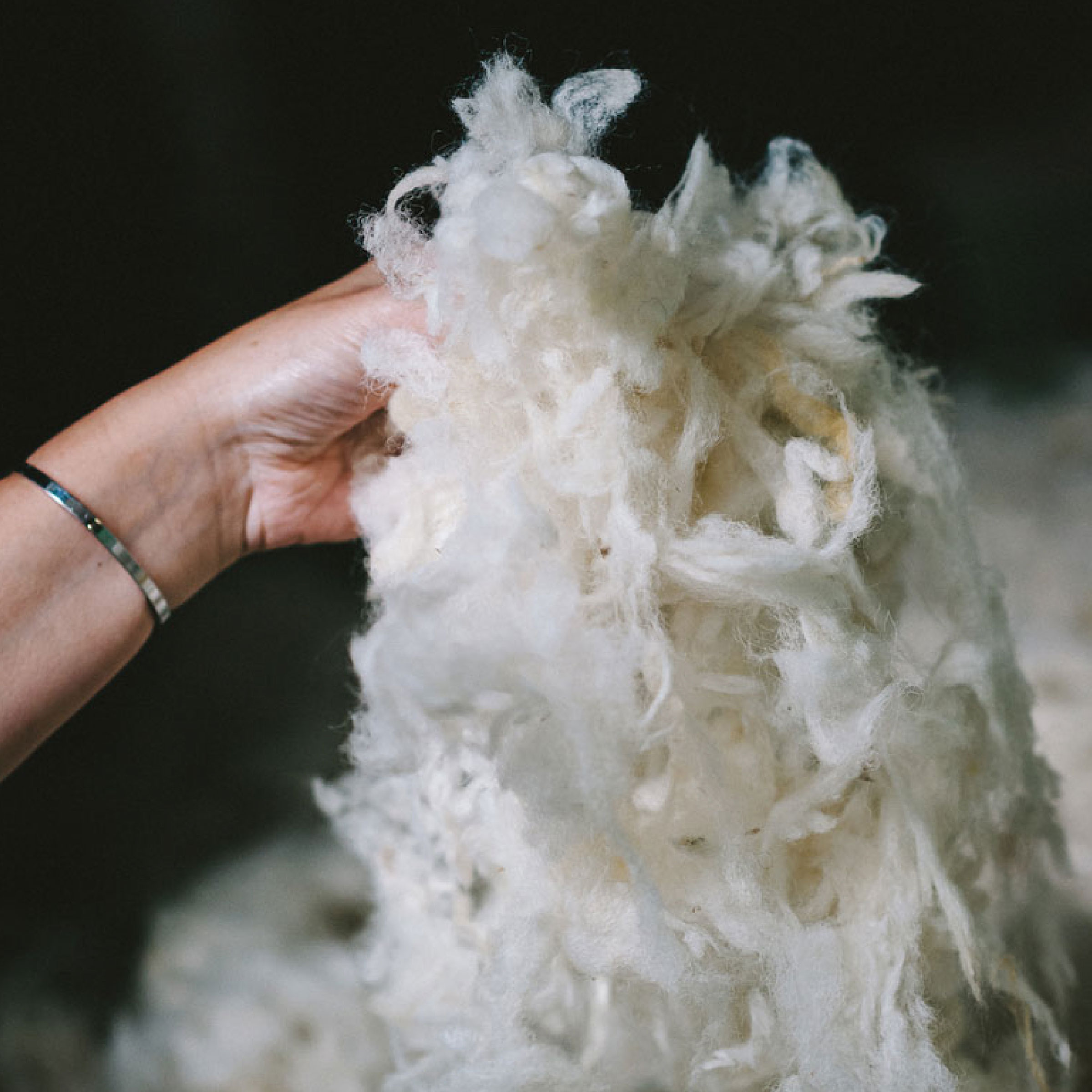 Texeler Dekbed Tencel Lamswol Gehele jaar 