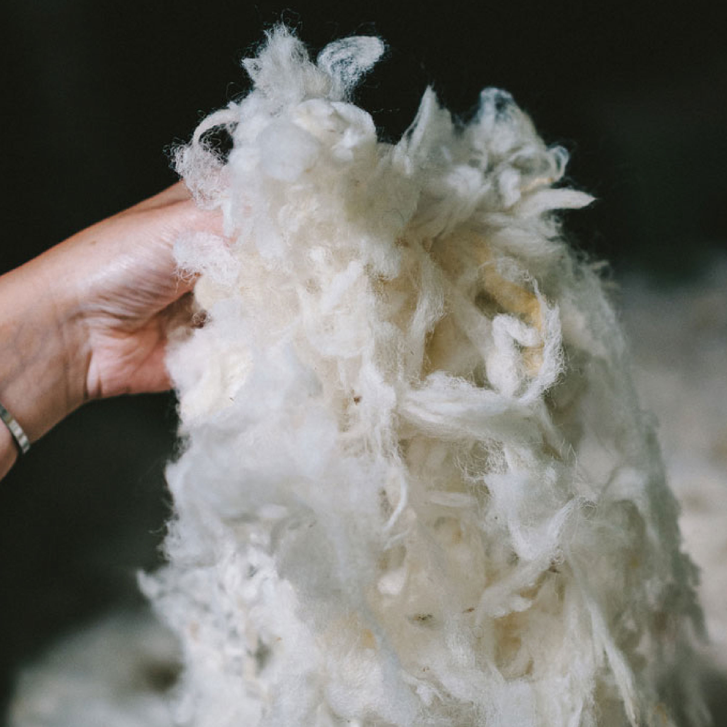 Texeler Onderdeken Volwol Velours Scheerwol 450 gr/m2 - 250 gr/m2 