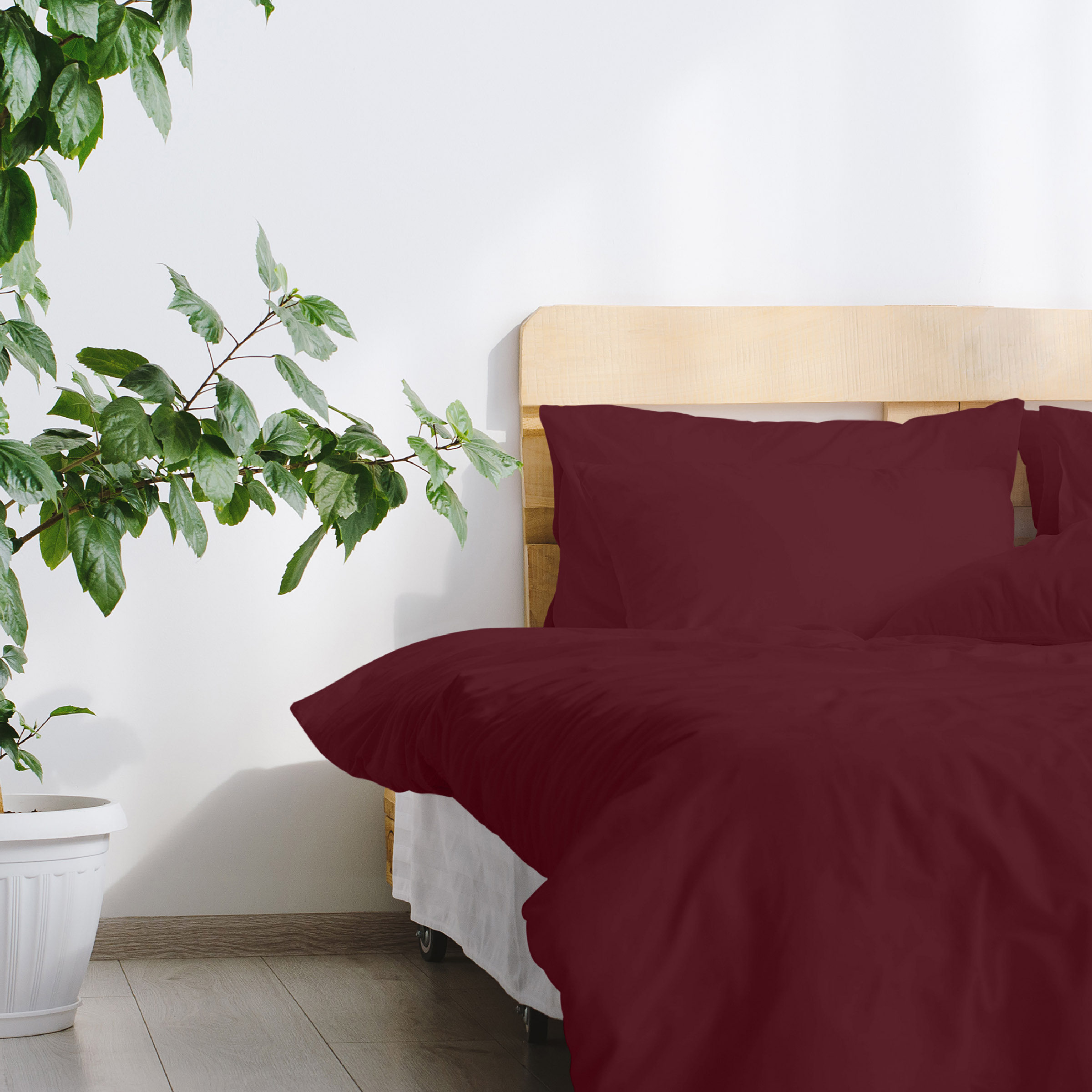 Kussen, Interieurontwerp, Meubels, Bed, Blad