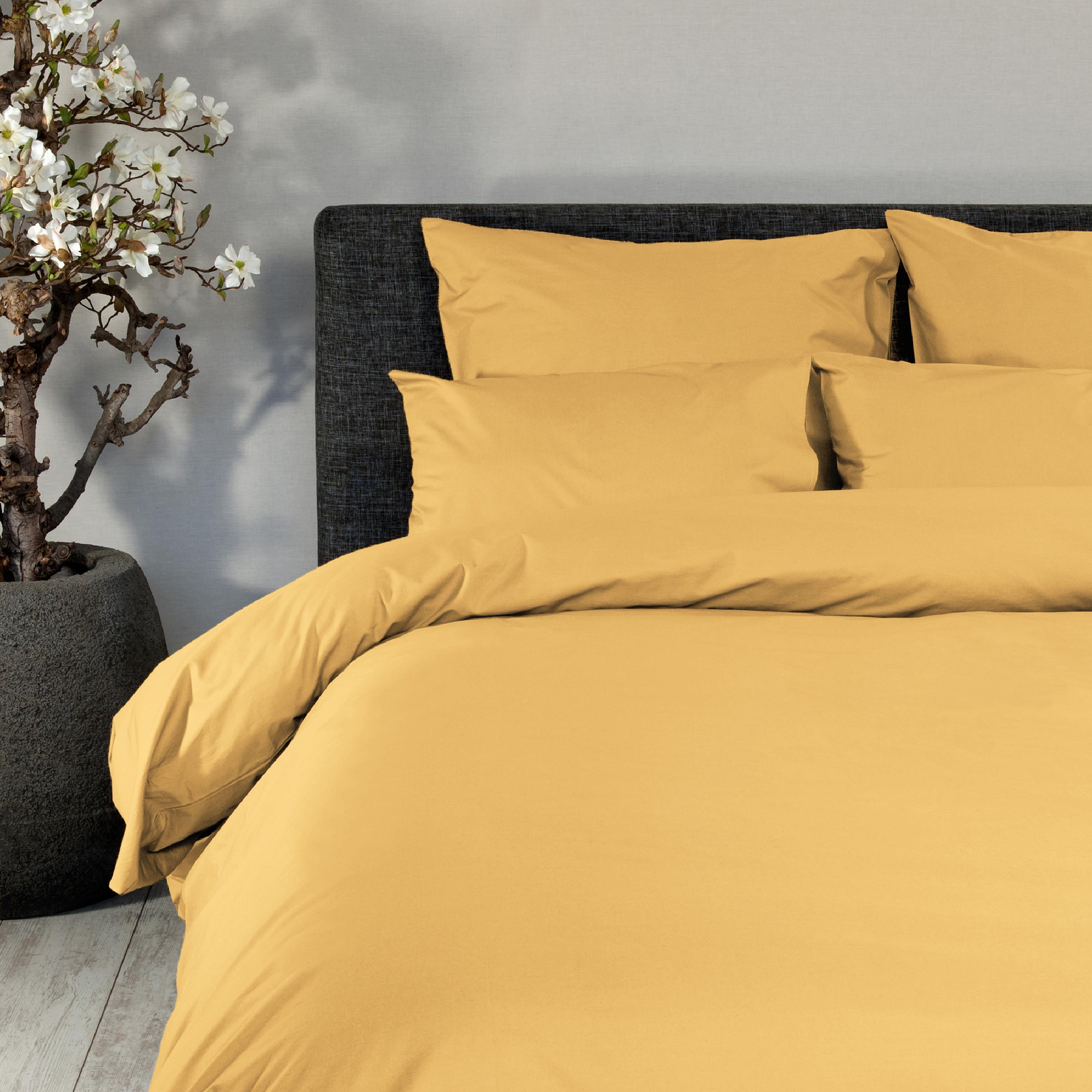 Meubels, Bed, Laken, Meubels, Bed, Laken