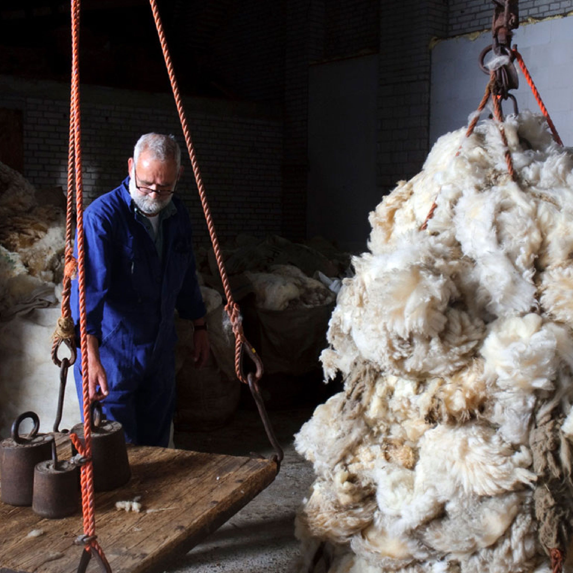 Texeler Kussen Soezz Perfection Scheerwol 60 x 70 cm