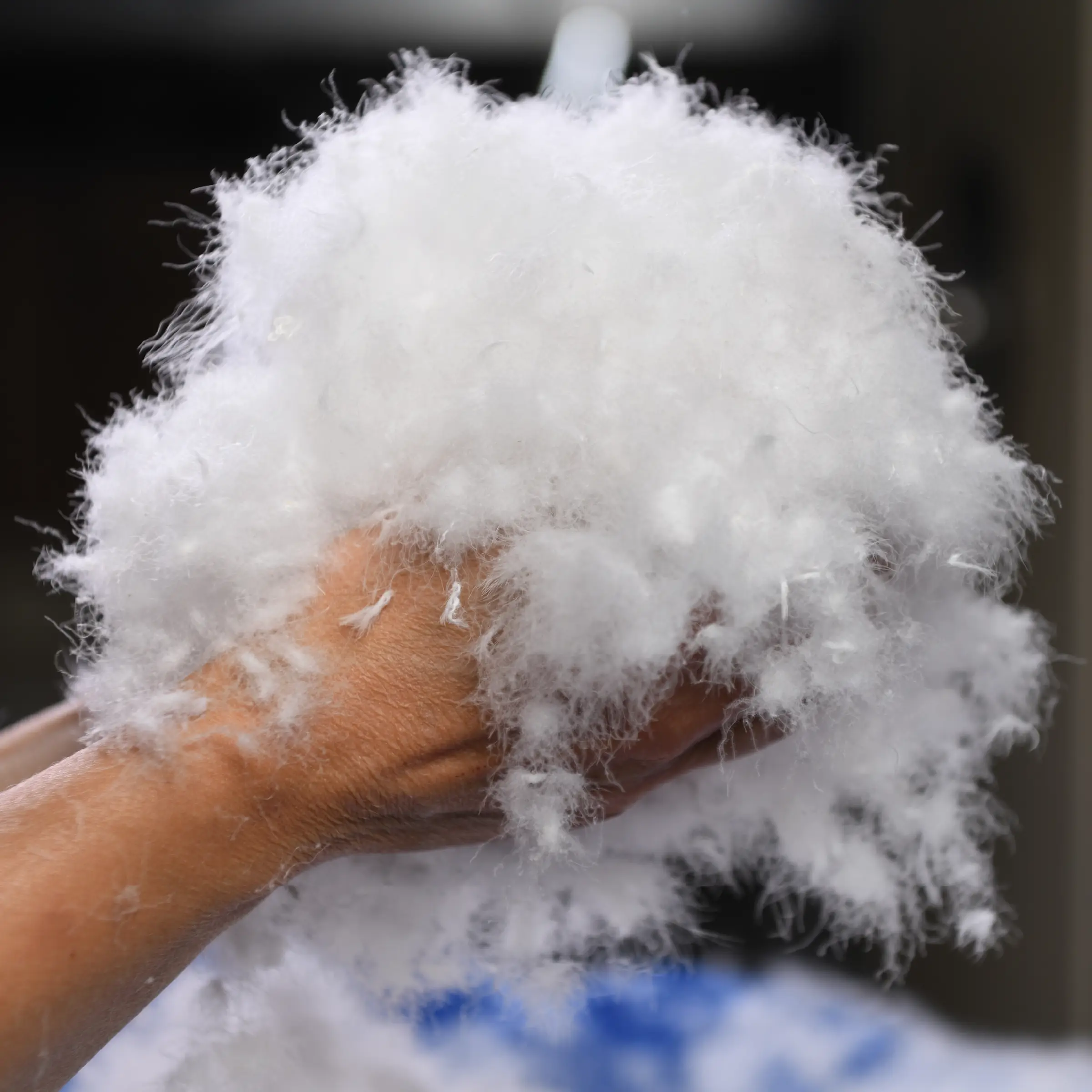 Jonk Kussen Florence 70 % Eenden Dons (natuurlatex kern) 50 x 70 cm