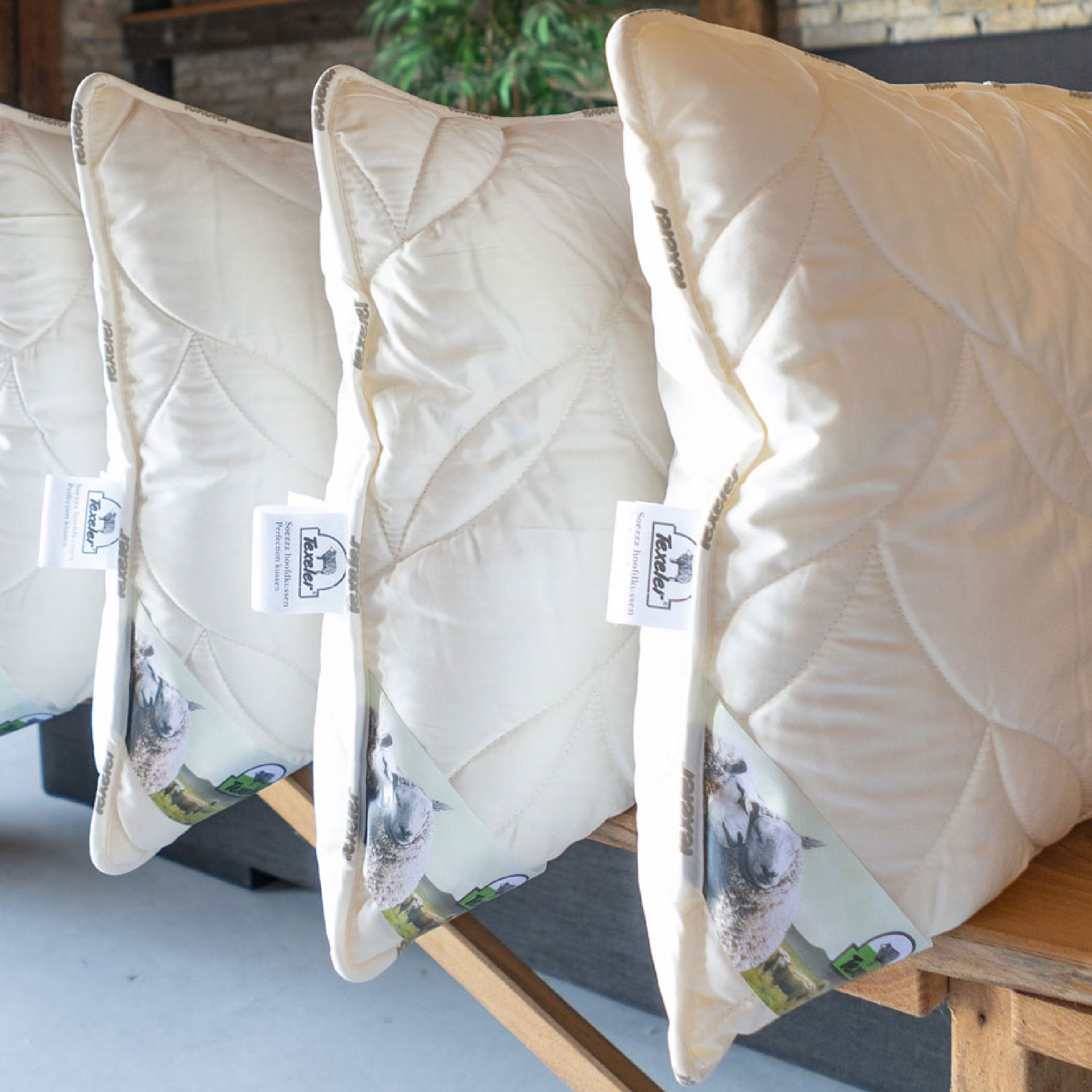 Texeler Kussen Soezz Nature Scheerwol 60 x 70 cm