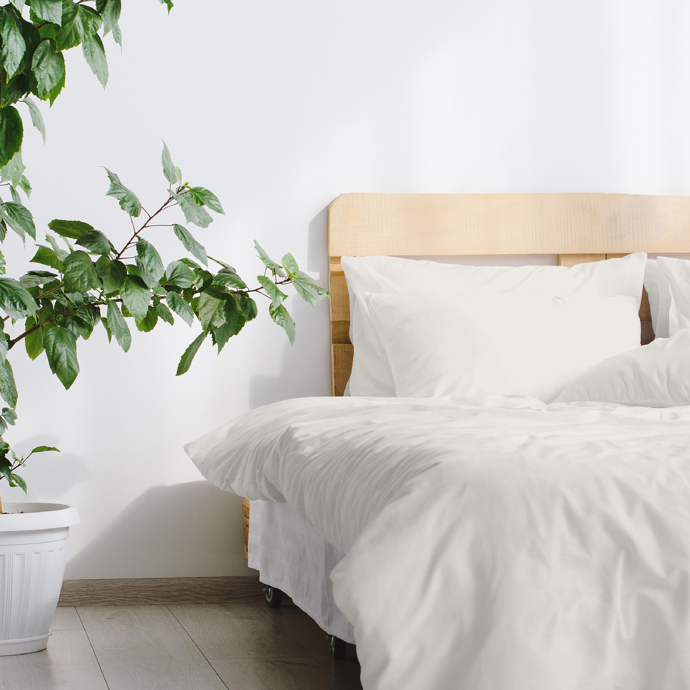 Dommelin Dekbedovertrek Katoen 180TC Ecru