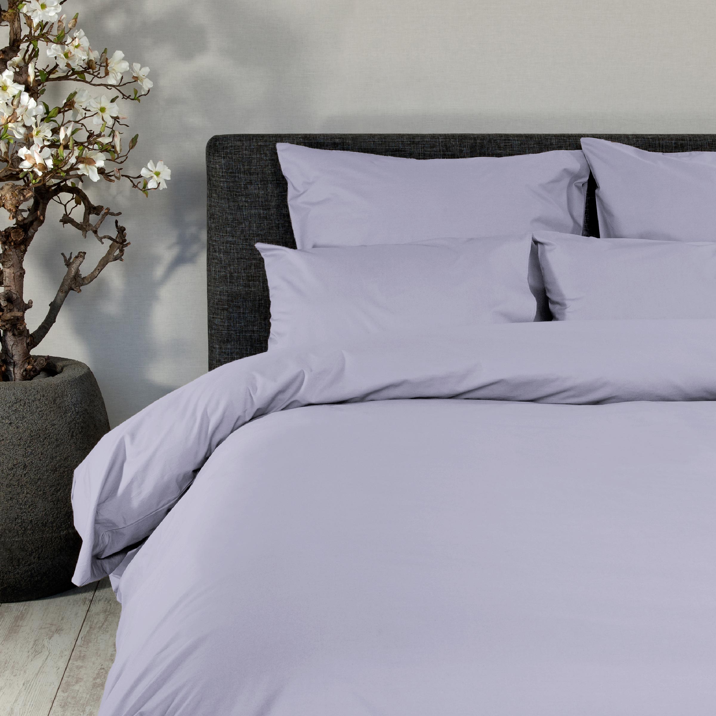 Meubels, Bed, Laken, Kussen, Woondecoratie, Meubels, Bed, Laken