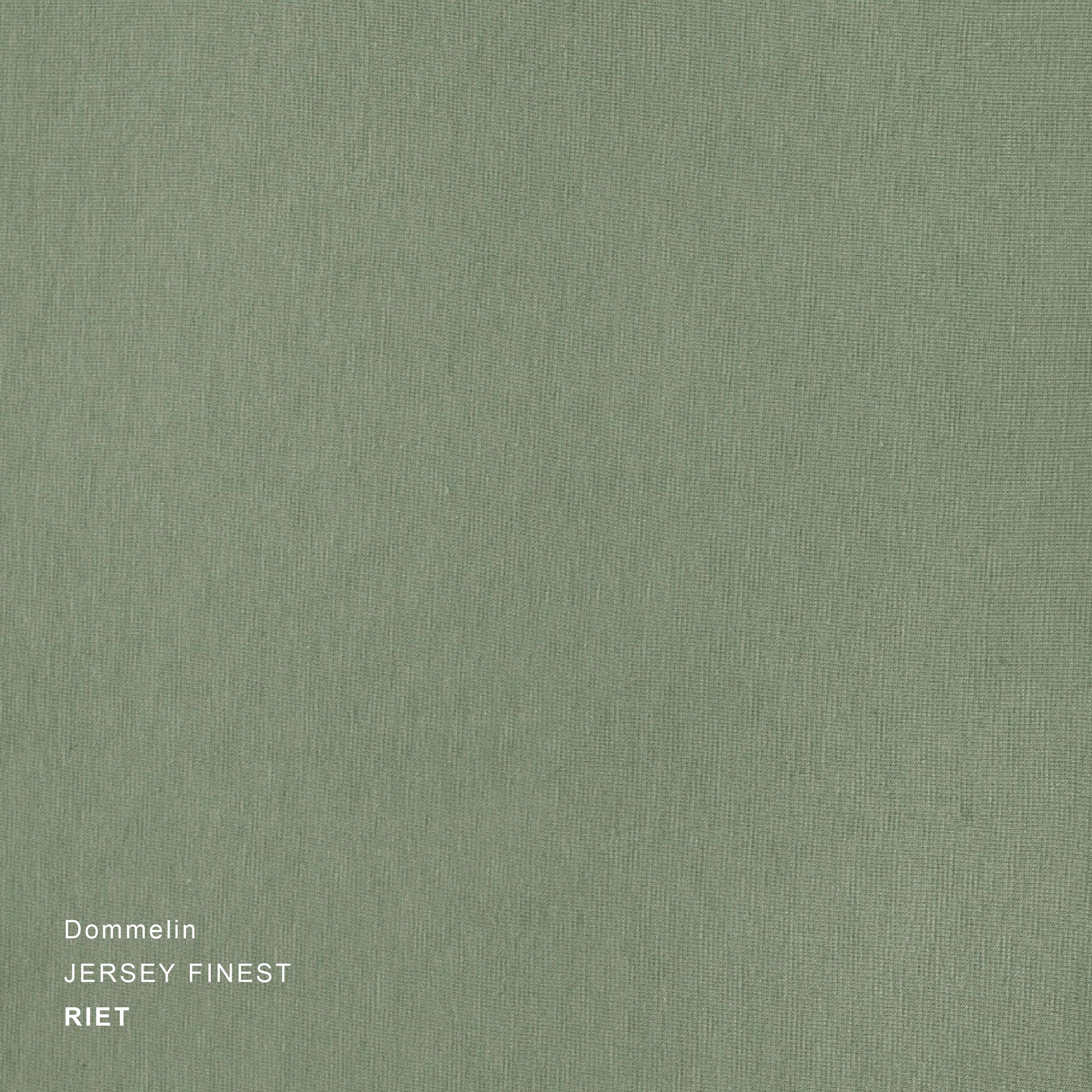 Dommelin Hoeslaken Jersey Finest Riet